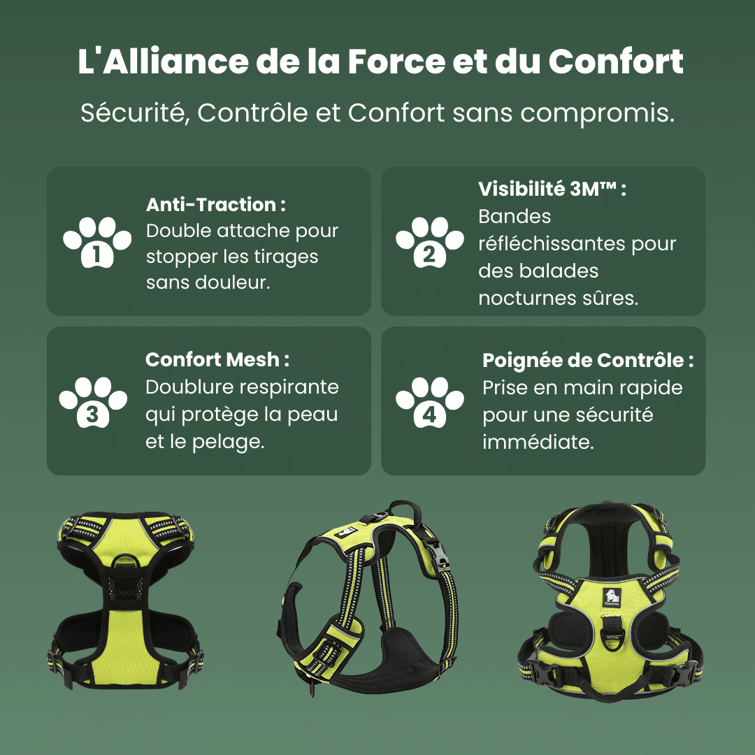 caracteristiques harnais anti traction reflechissant true love