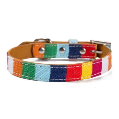 Pourquoi ne pas mettre un harnais à un chiot ? Pourquoi ne pas mettre un harnais à un chiot ?