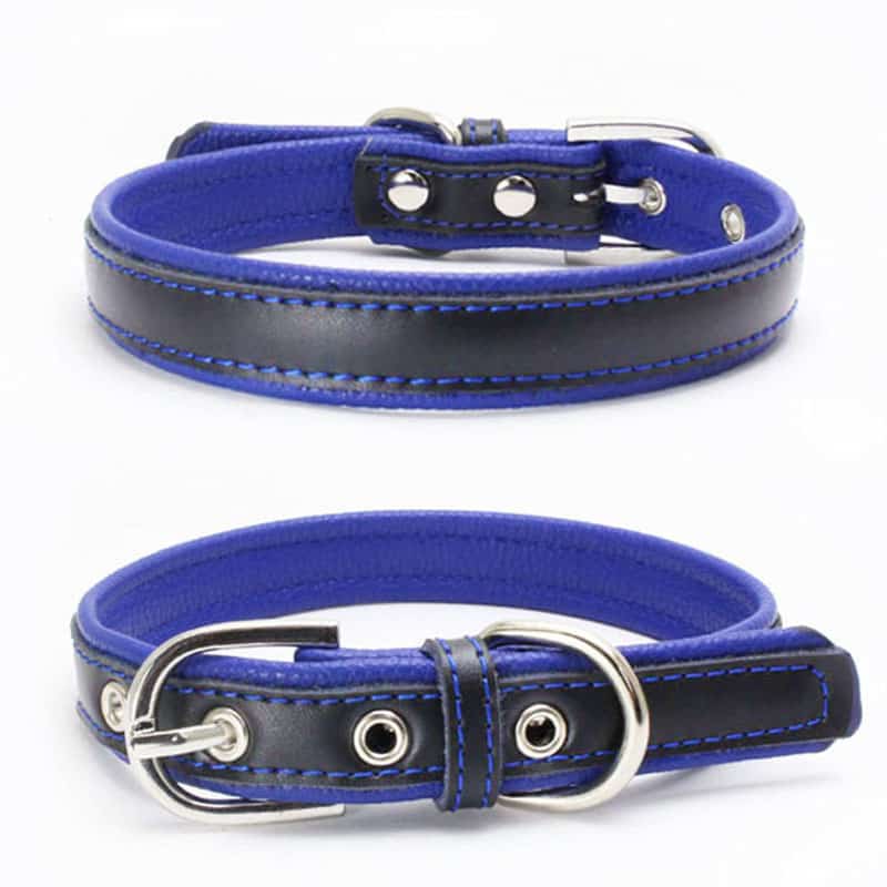 collier pour chien en cuir bicolore bleu