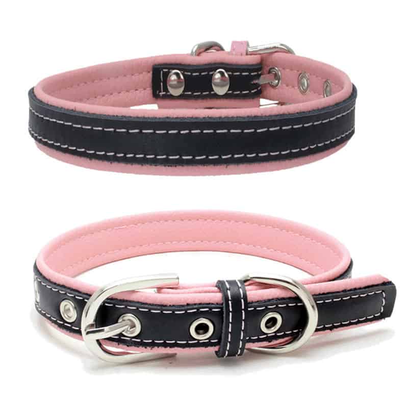 collier pour chien en cuir bicolore rose