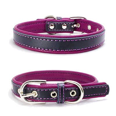 collier pour chien en cuir bicolore violet