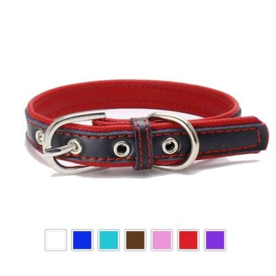 Collier pour chien cuir bicolore Collier pour chien cuir bicolore