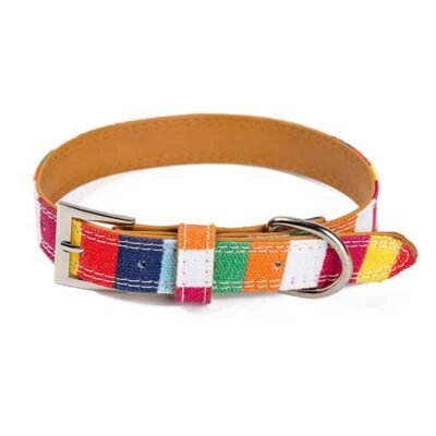 Collier pour chien en cuir multicolore Collier pour chien en cuir multicolore