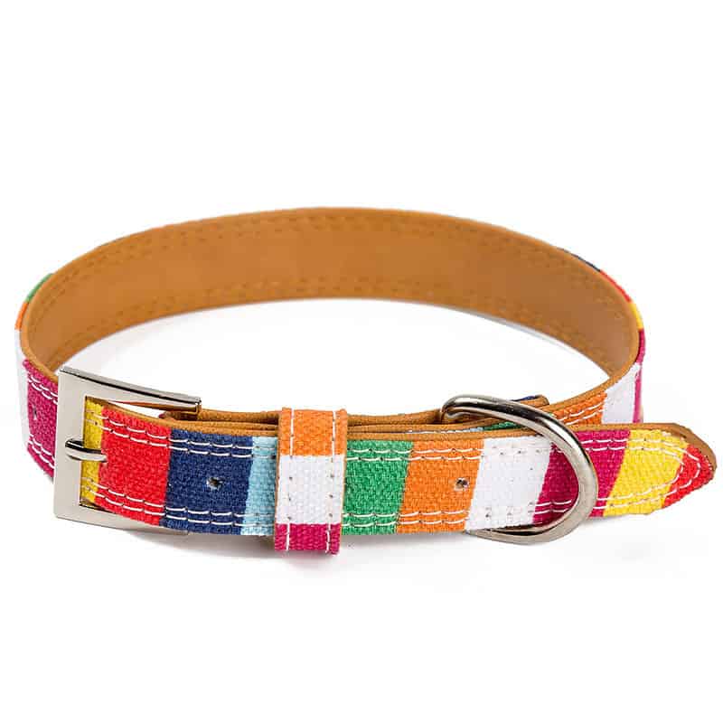 collier pour chien en cuir multicolore de designer, vue de face