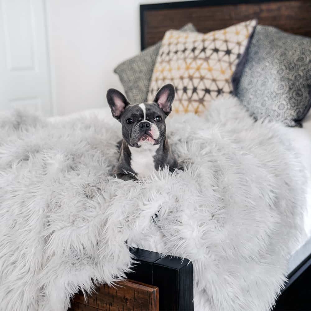 couverture plaid apaisante pour chien en fausse fourrure grise