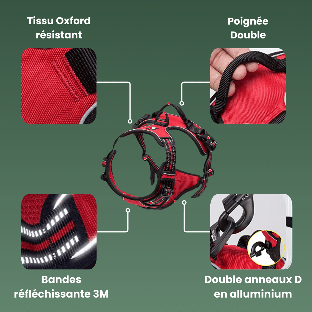 details harnais anti traction reflechissant true love