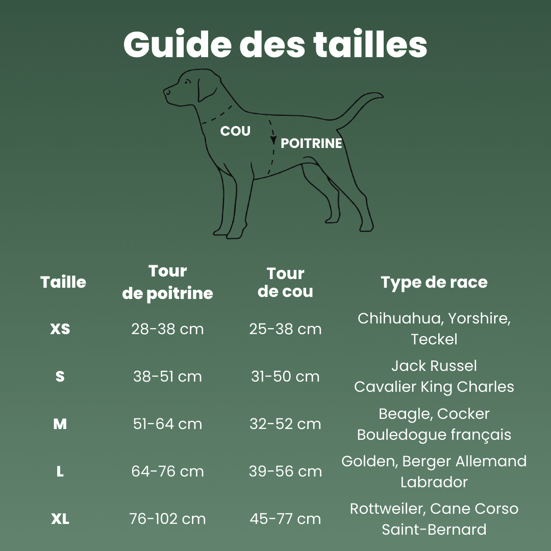 guide tailles harnais anti traction reflechissant true love