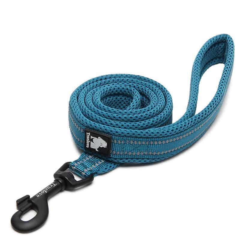 Balle indestructible pour chien