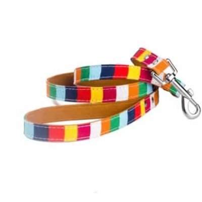 Laisse pour chien en cuir multicolore Laisse pour chien en cuir multicolore