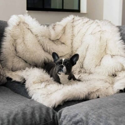 Plaid pour chien en fausse fourrure beige - LUCKY Plaid pour chien en fausse fourrure beige - LUCKY