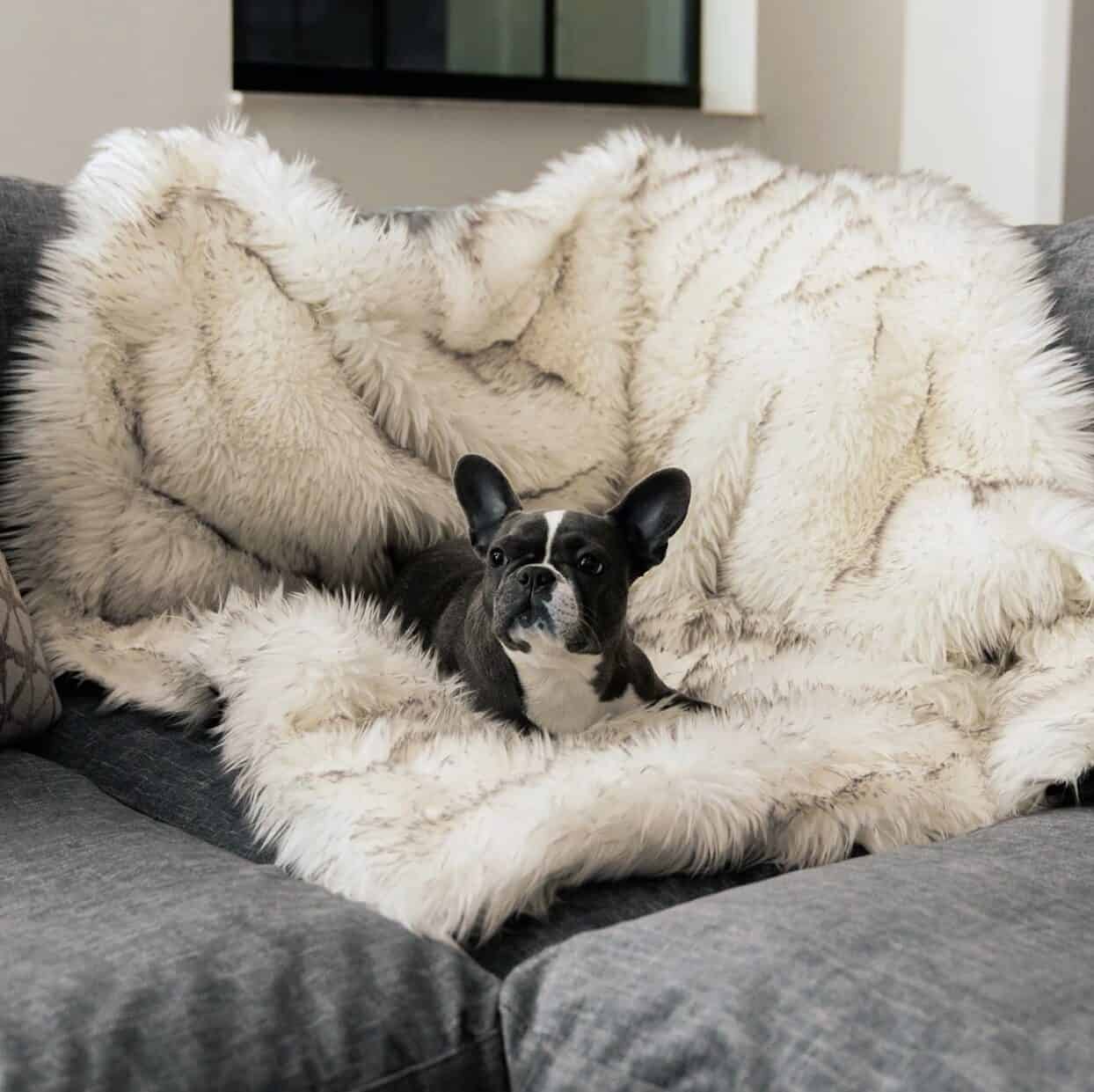 couverture plaid apaisante pour chien en fausse fourrure beige