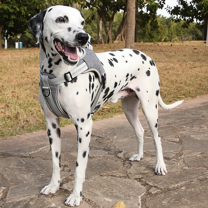 harnais anti-traction pour chien réfléchissant et ajustable gris