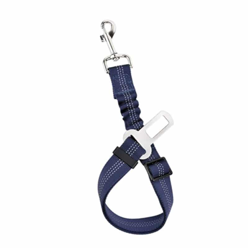 ceinture de sécurité pour harnais chien bleu