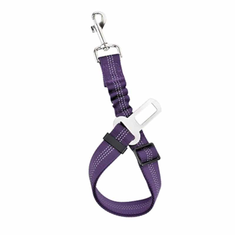 ceinture de sécurité pour harnais chien violet
