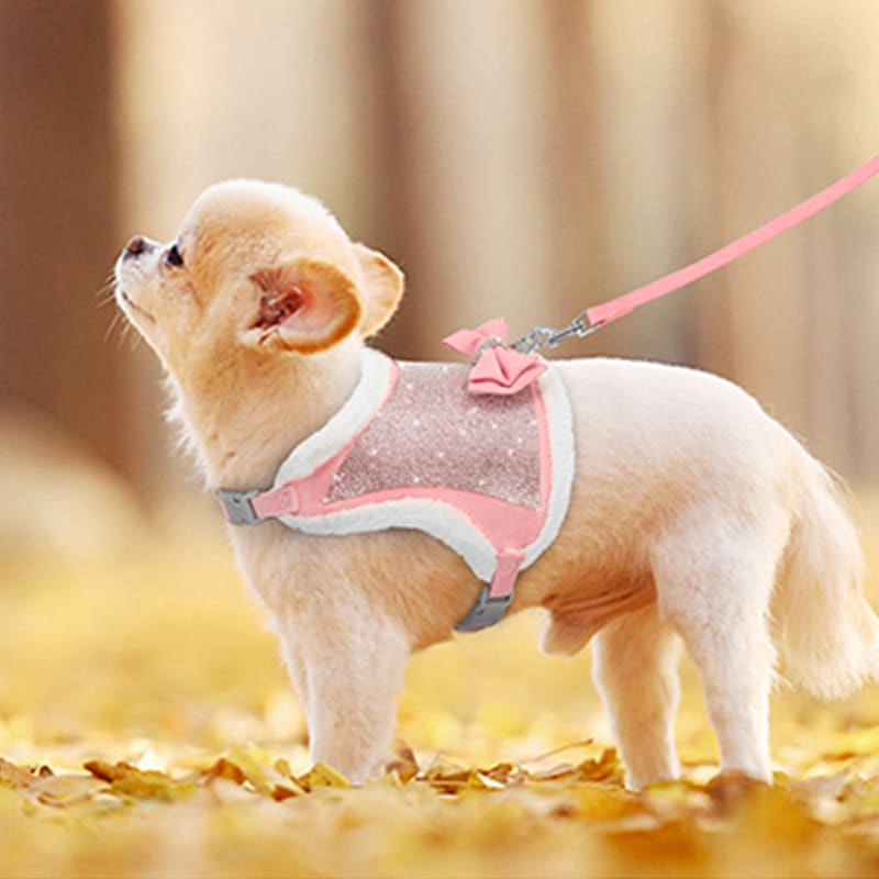 Harnais veste pour Chihuahua à strass rose et sa laisse assortie