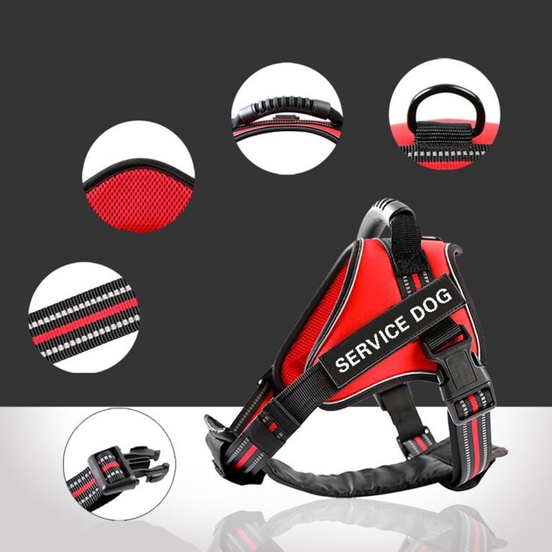 details harnais husky rouge 2