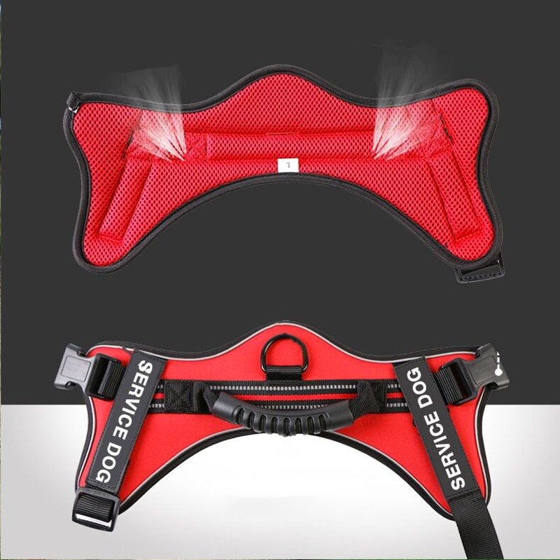 details harnais husky rouge