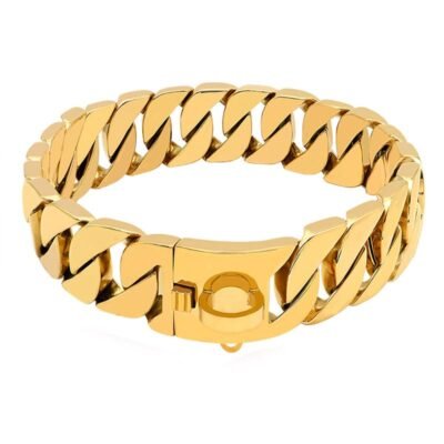 Collier chaîne luxe pour grand chien or Collier chaîne luxe pour grand chien or