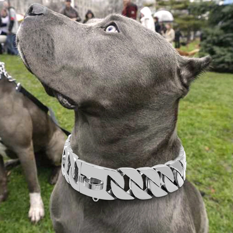 Collier chaîne luxe pour grand chien or