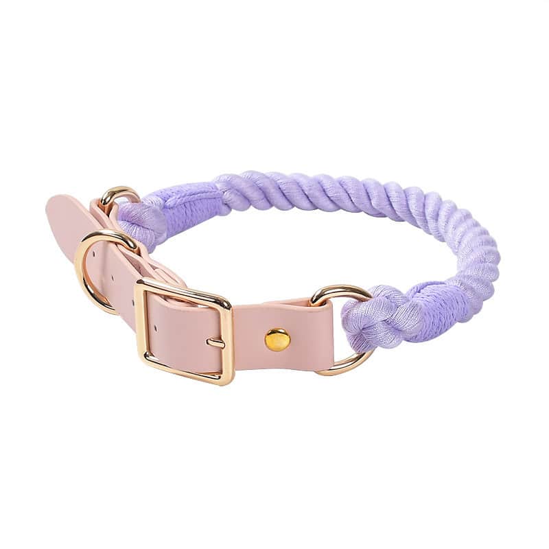 Collier pour chien en cuir rose et corde violet