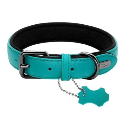 Collier chien en cuir confortable noir Collier chien en cuir confortable noir