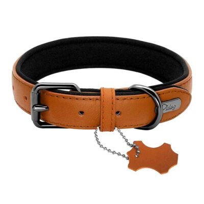 Collier chien en cuir confortable noir Collier chien en cuir confortable noir