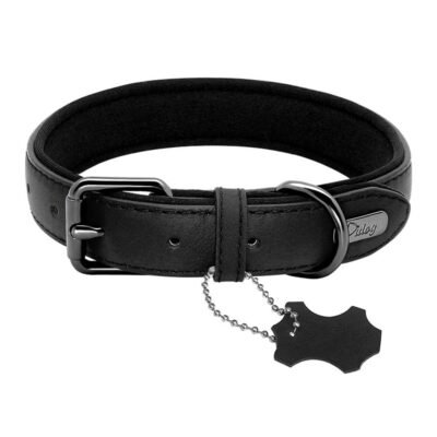 Collier chien en cuir confortable noir Collier chien en cuir confortable noir