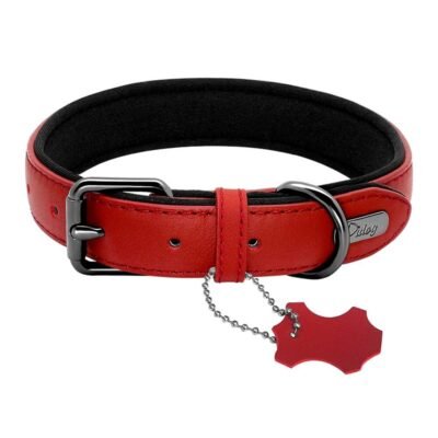 Collier chien en cuir confortable noir Collier chien en cuir confortable noir