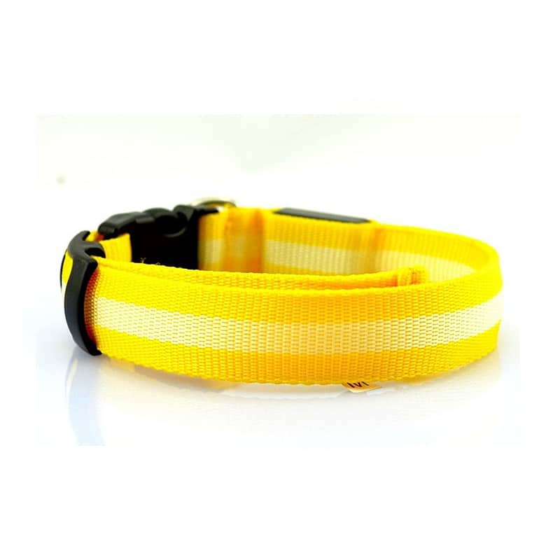 Collier lumineux chien à LED jaune