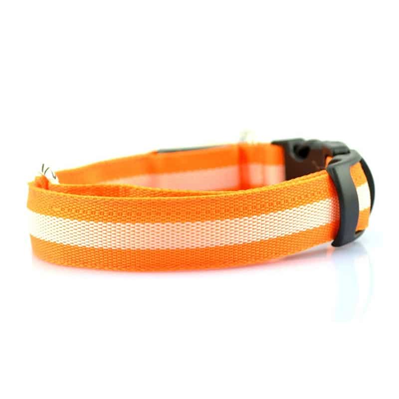 collier lumineux chien orange