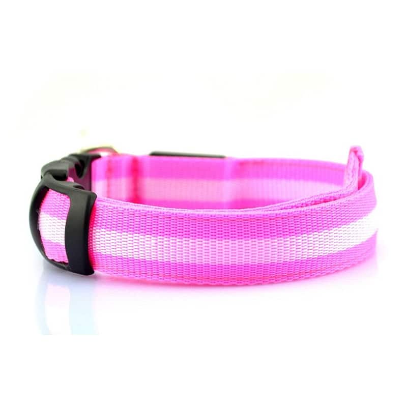 collier lumineux chien rose