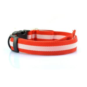 collier lumineux chien rouge