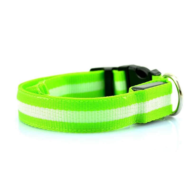 Collier lumineux chien à LED vert