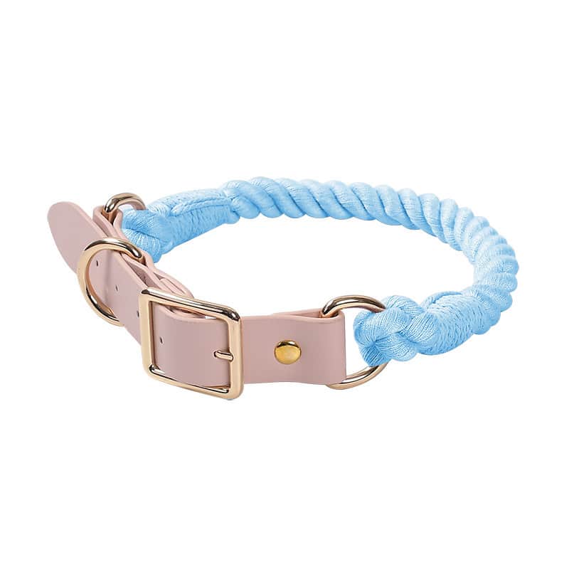 Collier pour chien en cuir rose et corde bleu ciel