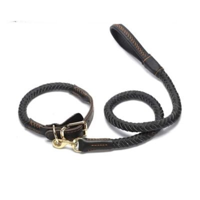 Ensemble collier et laisse en cuir pour chien de luxe marron Ensemble collier et laisse en cuir pour chien de luxe marron