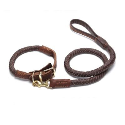 Ensemble collier et laisse en cuir pour chien de luxe marron Ensemble collier et laisse en cuir pour chien de luxe marron