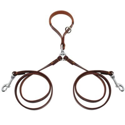 Pourquoi mon chien ne veut pas mettre sa laisse ? Pourquoi mon chien ne veut pas mettre sa laisse ?