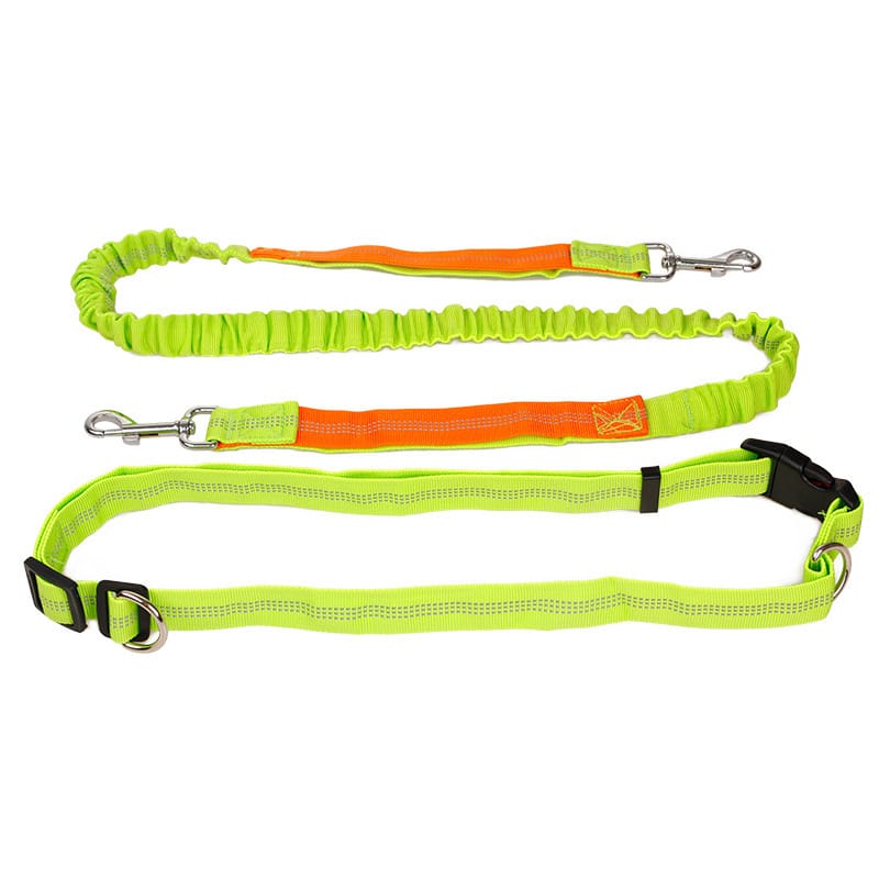 Laisse pour courir avec son chien et ceinture vert et orange