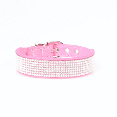 Collier à strass pour petit et moyen chiens Collier à strass pour petit et moyen chiens
