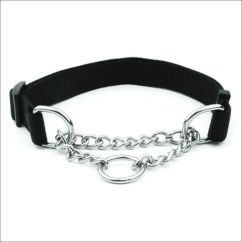 collier chaine pour rottweiller noir