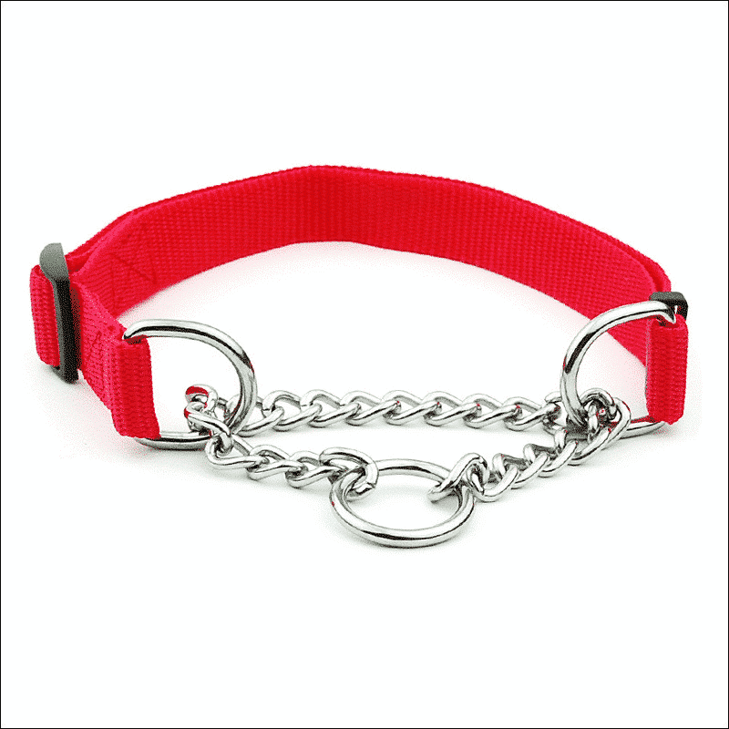 collier chaine pour rottweiller rouge