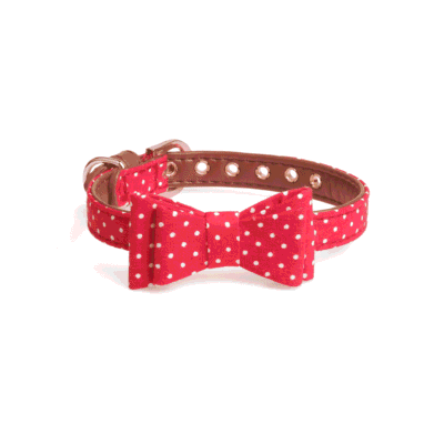 Collier noeud papillon pour chien à pois Collier noeud papillon pour chien à pois