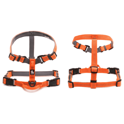 Harnais léger pour Golden Retriever Harnais léger pour Golden Retriever