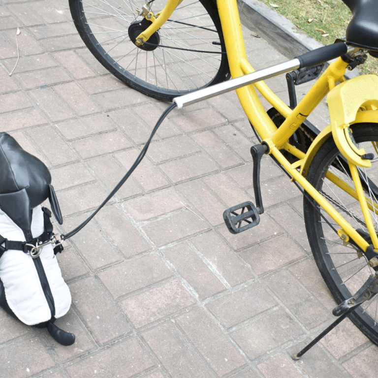 YUM Compas De Marquage En Acier Inoxydable Réglable Pour Cuir Et