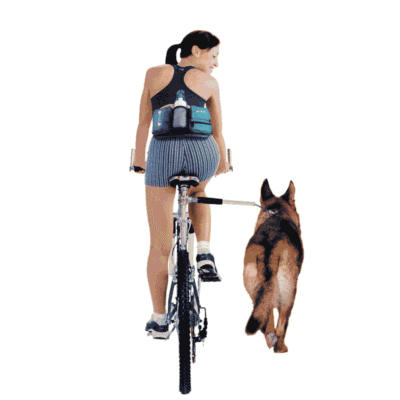 Quel laisse choisir pour faire du vélo avec son chien ? Quel laisse choisir pour faire du vélo avec son chien ?