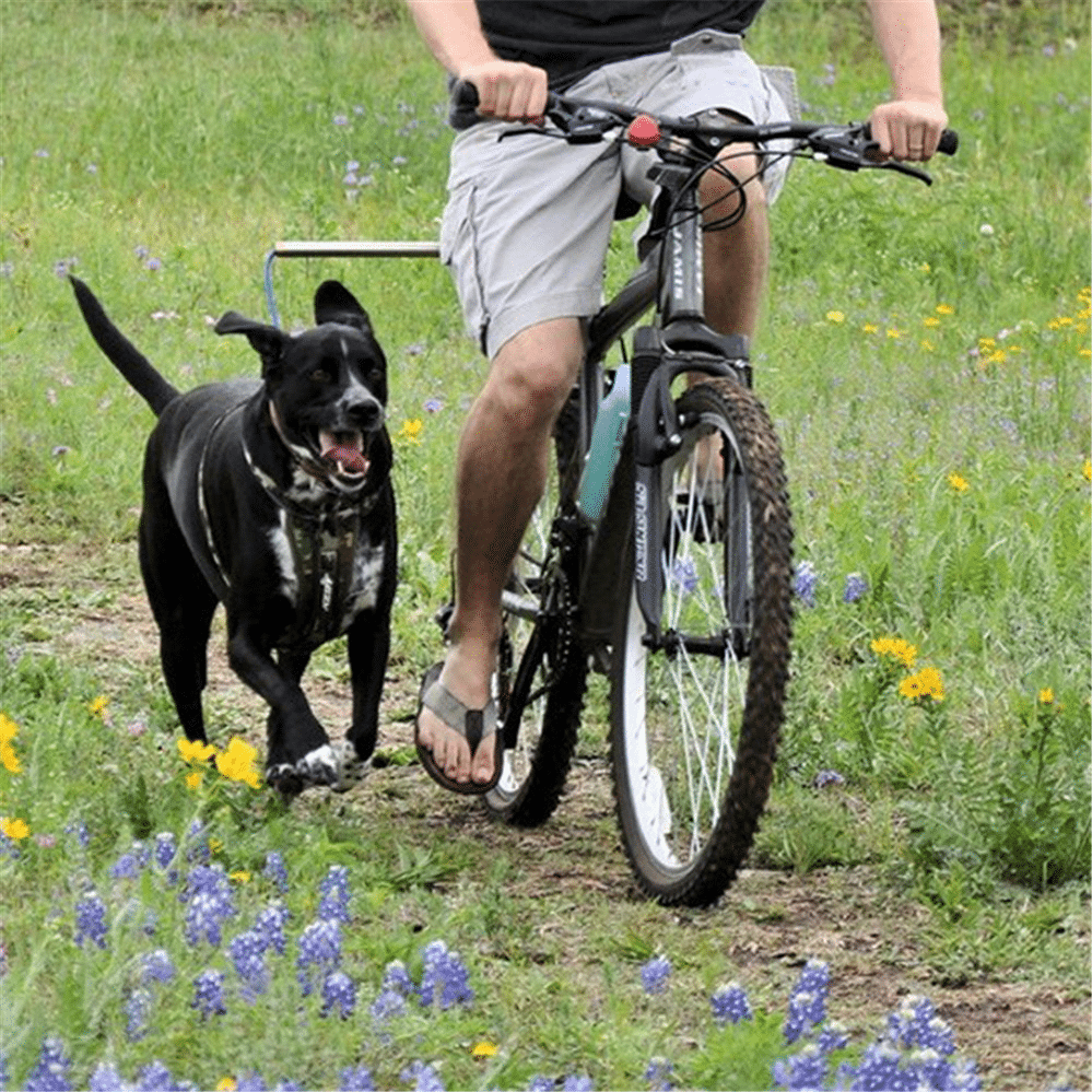 Laisse vélo pour chien détachable