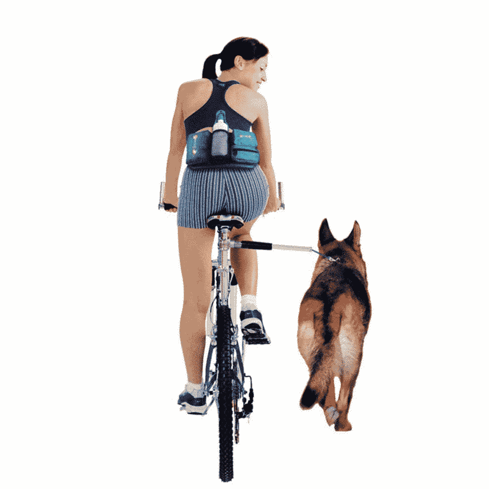 Quel laisse choisir pour faire du vélo avec son chien ?