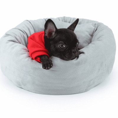 Panier pour bouledogue français et petit chien Panier pour bouledogue français et petit chien