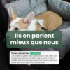avis panier voiture chien design ceinture securite avis panier voiture chien design ceinture securite