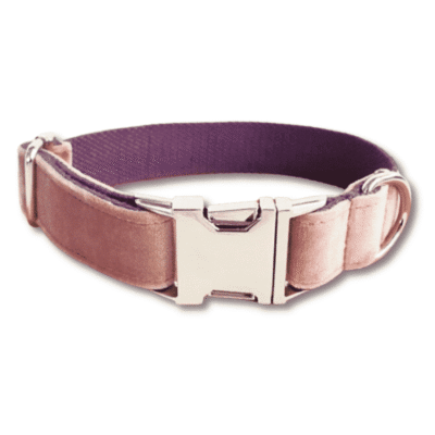 Collier pour chien rose en velours Collier pour chien rose en velours